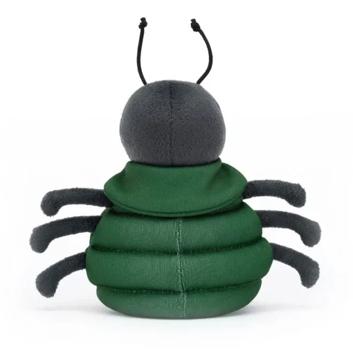 Anoraknid Black Spider