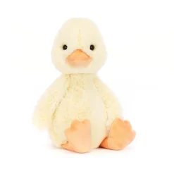 Bashful Duckling